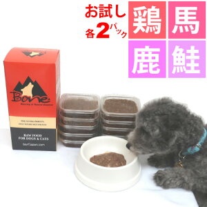 {[ Zbg { n   110ge2pbN=v8pbN  Y Y hbOt[h H Ⓚ yf y Bone BONE bone Bone BONE   \tg^Cv  EGbgt[h Ⓚ 