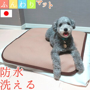 Ί̂ӂ}bg 55×60cm uE h NbV ʋC  JtF}bg ^ p ^ s L[}bg NbV Oo ʋC  􂦂 EHbVu VjA 