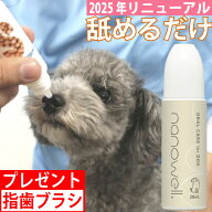 犬 歯磨き 歯磨きジェル 【プレゼント付】ナノウエル オーラルケア forDOG 犬用 20mL 歯磨きペースト 歯…