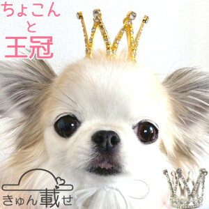  L 蕨 Ԃ   NE ڂ Xq SЂ ANZT[ wAANZT[  a o[Xf[ p[eB[ v[g ʐ^Be fR f 킢  