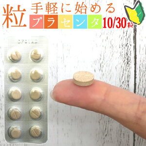  L vZ^ Ί vZ^ 10 30    ^ubg Y { ؂ ٔ gp    Y  Placenta }[xX sASPFvZ^ `Au