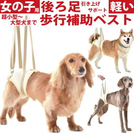 犬 介護 ハーネス 歩行補助 女の子 用 後ろ足 メッシュ アシストベスト XS～L 超小型犬 小型犬 中型犬 大型犬 ケア 高齢犬 シニア犬 老犬 歩行補助ハーネス 介護服 足腰 筋力 低下 ふらつき 補助 介護用品 立ち上がり 介助ベスト 股関節 ヘルプ 着たまま トイレ可 持ち手付