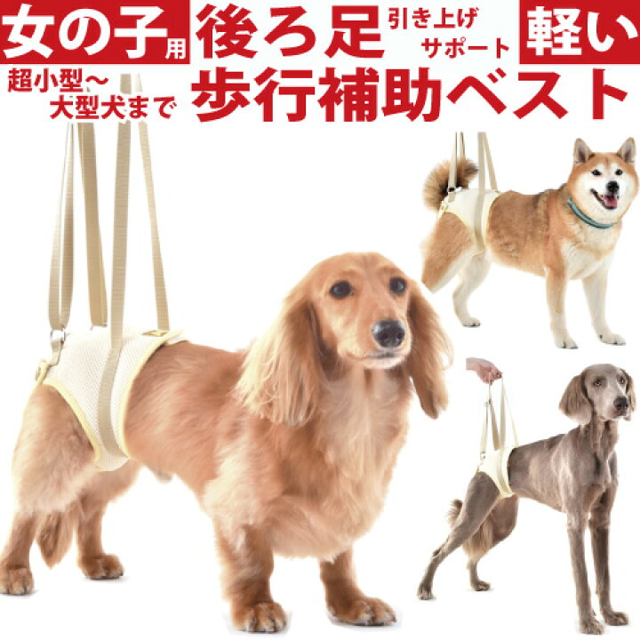 楽天市場】犬 介護 ハーネス 歩行補助 女の子 用 後ろ足 メッシュ 