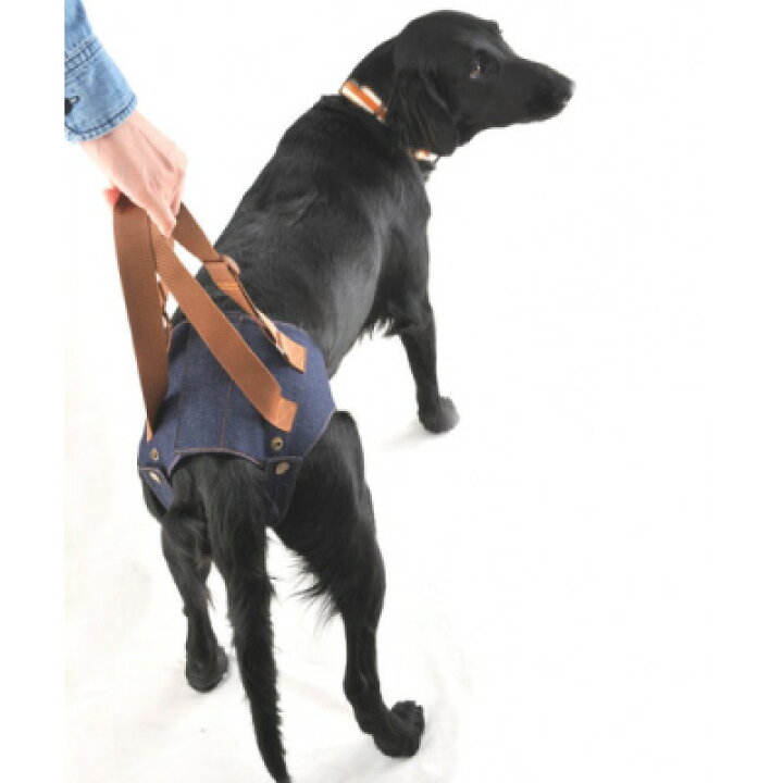 楽天市場 犬用介護ケア 歩行補助に アシストベスト 後ろ足用 超小型犬 超大型犬まで サイズオーダーメイド可能だから負担も少ない ｗｈｃｙ 高齢犬 シニア犬 老犬用でもデザインが なのに価格が安い介護用品 ナチュラルペットフード Shop