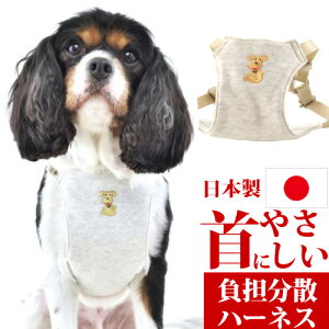  p n[lX xXgn[lX B`MTCY ނq C アq ^ ^ ^  ps[ Zь ѐ؂ C yI[KjbNRbg   ₳ S U Y y