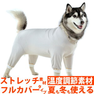   Ts[XC|E  XS ` 10  hbOEFA ̕ ی앞 Jo[I[ Ȃ Xgb` I[V[Y Vv AM[ JCJC ъ ԕ΍  ^ ^ 