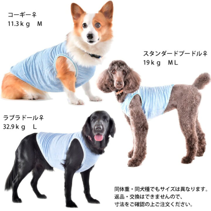 楽天市場 犬 夏 服 ストロングクールタンク mサイズ 着丈39cm クールブルー 接触冷感 濡らさない 冷たい 涼しい ひんやり クールウエア 暑さ対策 夏服 クール 服 Cool ドッグウエア 日本製 Whcy 中型犬 コーギー 柴 コッカー スパニエル シェルティ クールベスト 楽天市場 犬 夏 服 ストロングクールタンク mサイズ 着丈39cm クールブルー 接触冷感 濡らさない 冷たい 涼しい ひんやり クールウエア 暑さ対策 夏服 クール 服 Cool ドッグウエア 日本製 Whcy 中型犬 コーギー 柴 コッカー スパニエル シェルティ クールベスト
