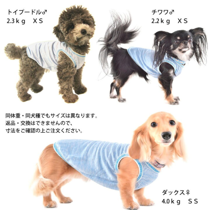 楽天市場 犬 夏 服 ストロングクールタンク ｓｓ ｓｓ ｍサイズ クールピンク 接触冷感 濡らさない 冷たい 涼しい ひんやり クールウエア 暑さ対策 夏服 クール 服 Cool ドッグウエア 日本製 Whcy 小型犬 中型犬 プードル ダックスフンド ジャックラッセル シーズー