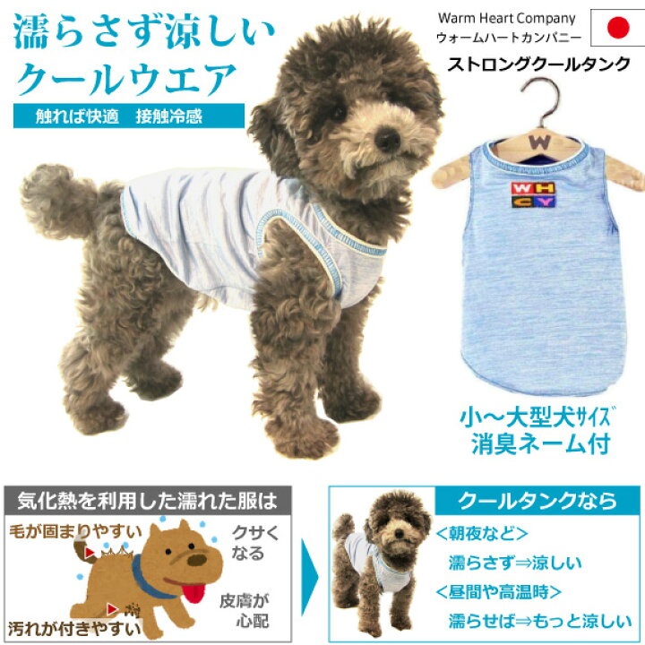 楽天市場 犬 夏 服 ストロングクールタンク ｍサイズ 着丈39cm クールブルー 接触冷感 濡らさない 冷たい 涼しい ひんやり クールウエア 暑さ対策 夏服 クール 服 Cool ドッグウエア 日本製 Whcy 中型犬 コーギー 柴 コッカー スパニエル シェルティ クールベスト