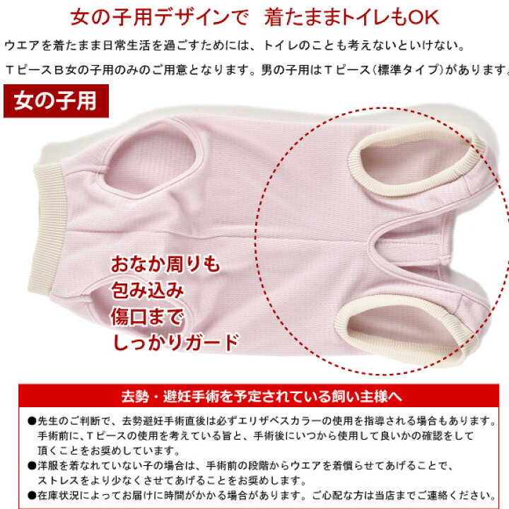 楽天市場 ｗｈｃｙ Tピースｂ 速乾 フィット 袖なしタイプ S ｂ 避妊手術後 アレルギーのカイカイ 換毛期の犬猫の部屋着に 術後服 幼犬 チワワ ティーカップ プードル ヨーキー ミニピン 超小型犬 犬 服 保護服 女の子 エリザベスカラー ナチュラルペットフード Shop