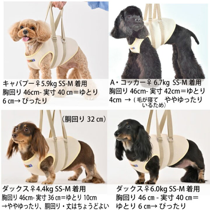 楽天市場】犬 介護 ハーネス 歩行補助 メッシュ アシストベスト XS 