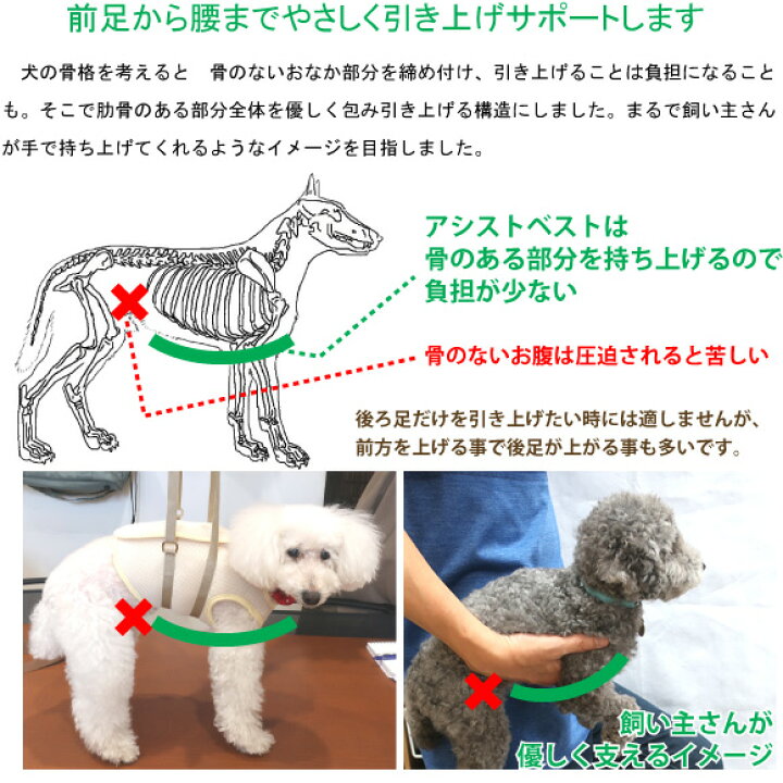 楽天市場 メッシュアシストベスト Ss M 小型犬 中型犬 用 犬用 介護 ケア 歩行補助 ｗｈｃｙ 高齢犬 シニア犬 老犬 介護服 足腰 の 筋力 が 低下 した 犬 ふらつき 補助 サポート 介護用ハーネス 立ち上がり 介助ベスト 股関節 ヘルプ 着たまま トイレ 持ち手付き