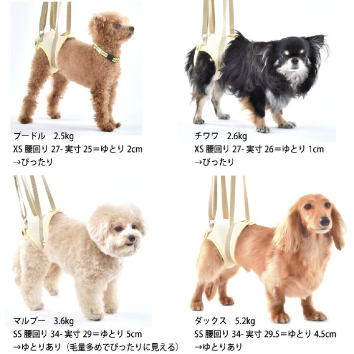 楽天市場】犬 介護 ハーネス 歩行補助 女の子 用 後ろ足 メッシュ 