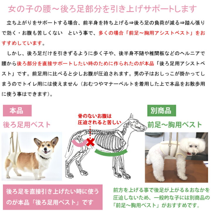 楽天市場】犬 介護 ハーネス 歩行補助 女の子 用 後ろ足 メッシュ 