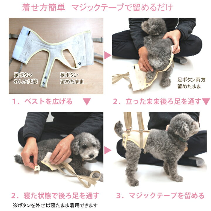 楽天市場】犬 介護 ハーネス 歩行補助 女の子 用 後ろ足 メッシュ 