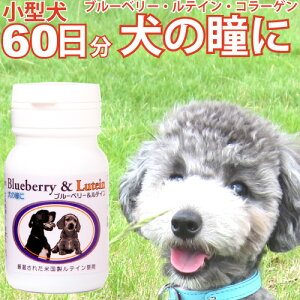 ブルーベリー 2本の通販 価格比較 価格 Com