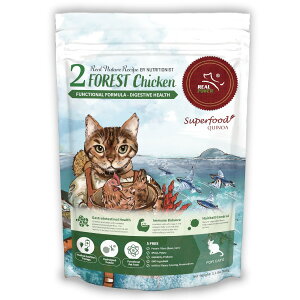 AlC`[Vs Lbgt[hyNO.2 tHXg`Lz500gyRCPz