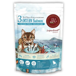 AlC`[Vs Lbgt[hyNO.3 I[VT[z500gyRCPz