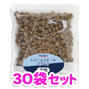 i`n[xXg W[X[  50g×30܃Zbgy񂹁zyRCPz