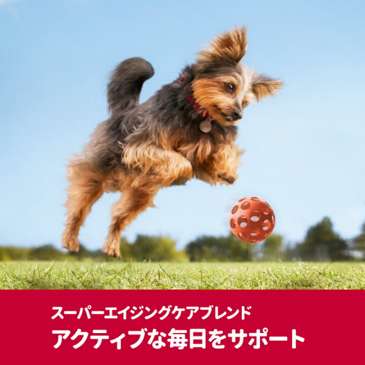 楽天市場 サイエンスダイエット プロ 犬 健康ガード アクティブシニア 小型犬用 7歳からずっと 3kg ぺとなびshop