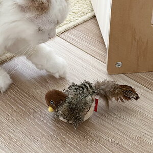 y110%N[|zyzL   t Ht A ^ L炵 {\ {\ ̖ XgXU  ^s ӂӂ