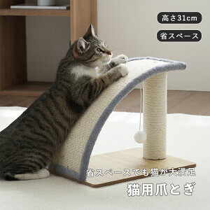 y}\5%OFFN[|zL ܂Ƃ |[ A[`^ TCU  RpNg ݂肨t ||t XgXU ^s ܂ƂX^h Lp ˂ ybgpi 