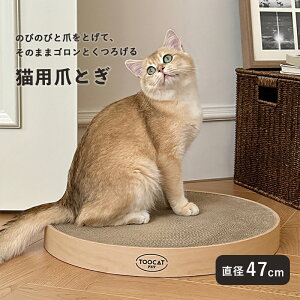 yzL ܂Ƃ xbh _{[ XNb`[ ~` ^ 47cm   Lp  ܂Ƃxbh ܂Ƃ{[h ی^ ybgObY