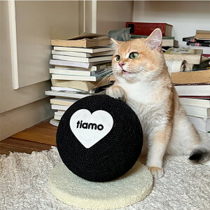 Lp ܂Ƃ {[^  RpNg u^ TCU[v ی^ XNb`[ 킢 CeA bh ubN