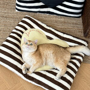 yzL ybgxbh ^ NbV n[g^ xbh ӂӂ 傫  킢 XgCv ybgObY ybgpi