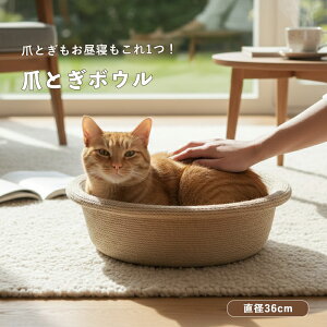 TCU L ܂Ƃ {E xbh i`  ˂ xbh ܂Ƃxbh bNX Lp 났 ی^ ܌ Lpxbh LObY ybgObY