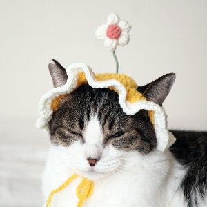 L Xq jbg   RXv fCW[ 킢 ҂ݕ Bep tHgObY ˂ lR a NX}X nEB v[g ybgpi