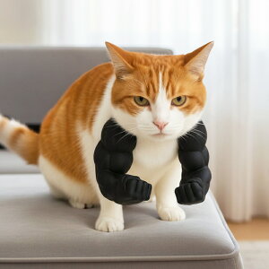 L  RXv ؓA[ ANZT[ ʔ ؓ LObY ybgpi Lp Be  SNSf 킢 ubN zCg y