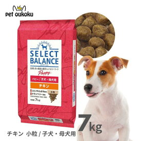 エントリーだけでポイント19倍!! 6/4 20:00 ~ 6/11 01:59 セレクトバランス パピー チキン 小粒 子犬・母犬用 7kg SELECT BALANCE 子犬 4541851005937