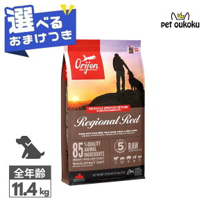 �y�I�ׂ邨�܂��t���z �I���W�� ���W�I�i�����b�h �h�b�O 11.4kg �S�N�� Orijen 0064992184124