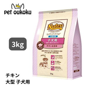 j[g i``CX `L qp DPE̕ꌢɂ ^p 3kg 4562358783685