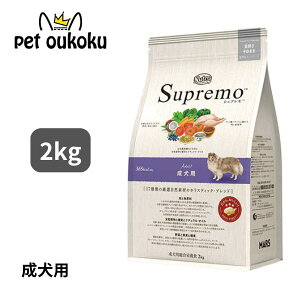 j[g Vv p 2kg 4562358781902