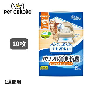 5000~ȏエグ10off GG[ L~ ptLER VXegCpV[g 1Tԗp 10 4902011105483