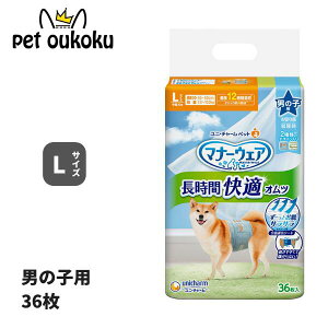 y5000~ȏ10%OFFz}i[EFA ԉKIc j̎qp L 36 jE`[ 4520699678152