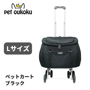 XC[gn[g bN^Cv L TCY ubN t@^W[[h ybgJ[g 4995723703221