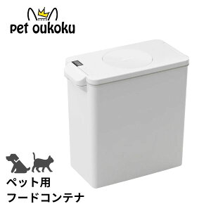 pidan s_ ybgp t[hRei ^vʃ^Cv L  ybg t[h ۑ e e 15L t[hXgbJ[ t[hRei ^ ^b`rC vʊt ObhfUC  