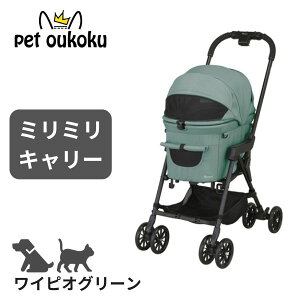 Rybg Rr Rybg ~~L[ CsIO[ ybgJ[g 4972990196130 