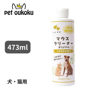 KPS nmPA }EXN[i[ IWi 473ml p Lp 0184877000025 