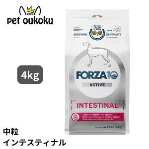 FORZA10 �t�H���c�@10 �C���e�X�e�B�i�� �A�N�e�B�u �~�f�B�A�� 4kg �����p ���� �h�b�O�t�[�h 8020245714298