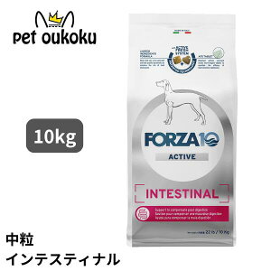 FORZA10 �t�H���c�@10 �C���e�X�e�B�i�� �A�N�e�B�u �~�f�B�A�� 10kg �����p ���� �h�b�O�t�[�h 8020245714496