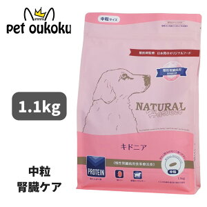 i`n[xXg LhjA tPA 1.1kg  HÖ@H p 4521254012374