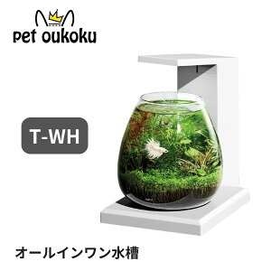 GEX OXANA PERCO T-WH I[CyR 4972547042972 