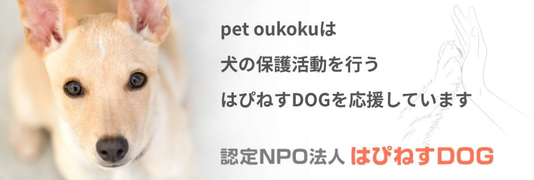 認定NPO法人はぴねすDOG