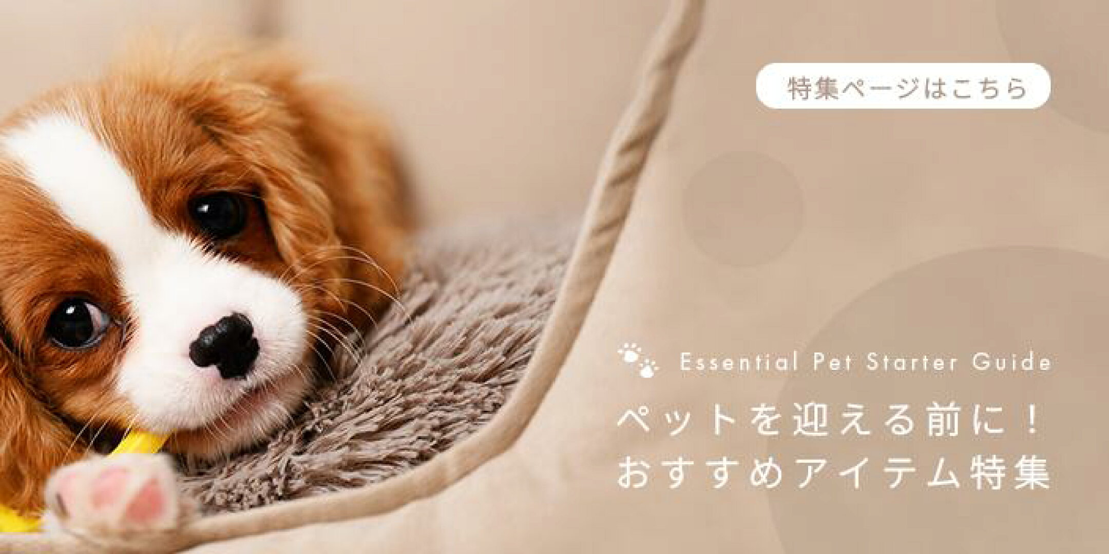 ペットのお迎えに必要な準備とおすすめアイテム