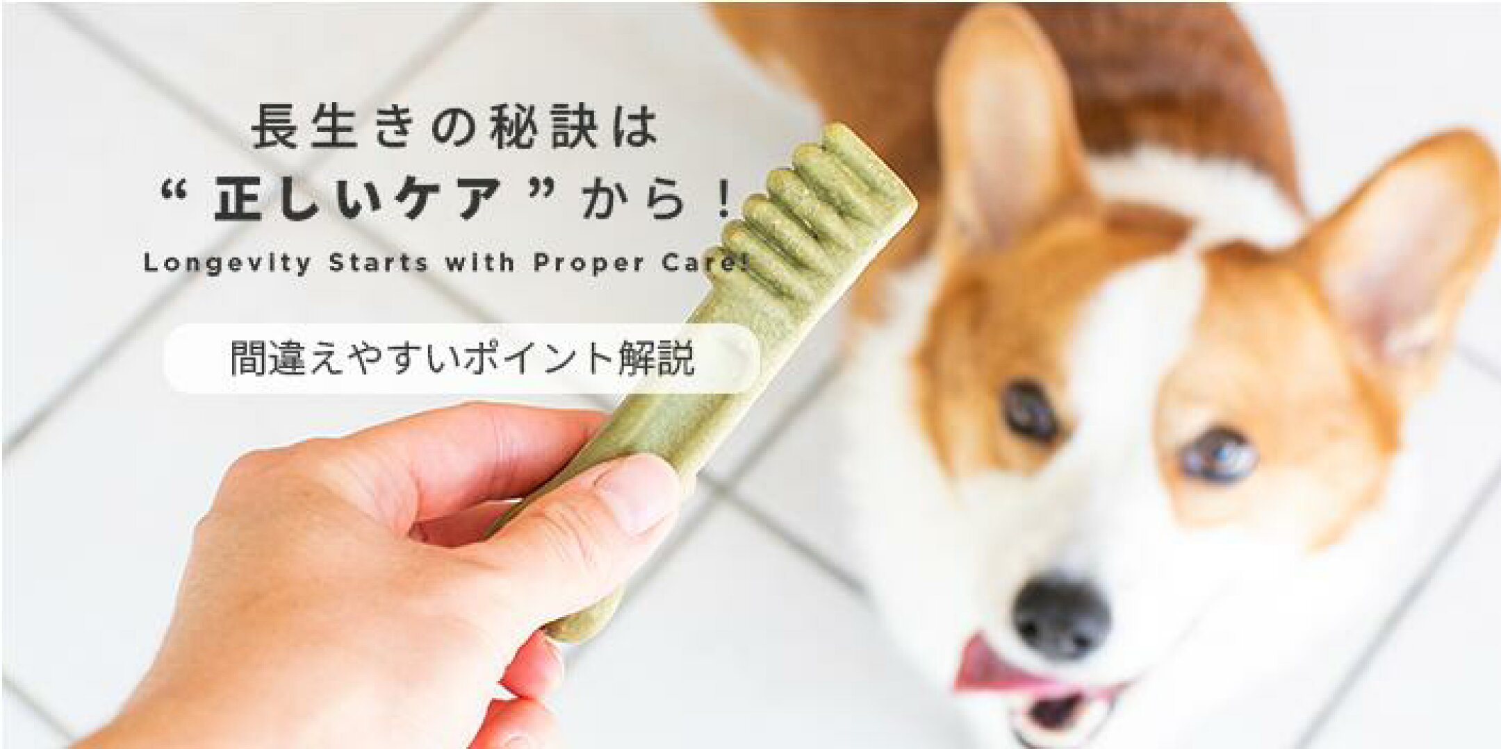 ⻑⽣きの秘訣は“正しいケア”から