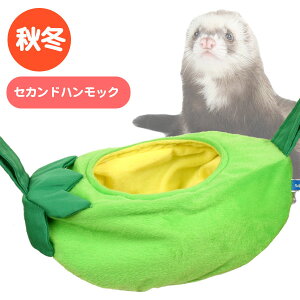 yRBztFbĝuRiF2j@tFbg nbN Q ~p Hp t[X